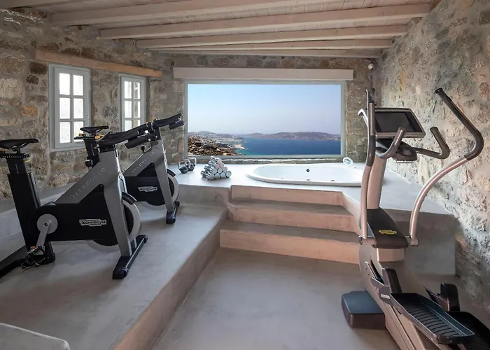 ヴィラ Vista Mykonos